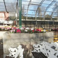 David Welch Winter Gardens-thumbnail.jpg